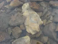 012.webp