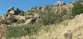 birdtrail3inarowindian.webp