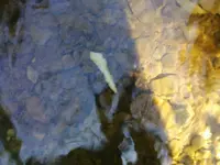 0829091125.webp