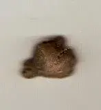 scan0005.webp