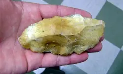 DSC00659-1.webp