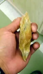 DSC00664-1.webp