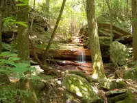 100_1783.webp
