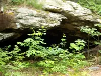 100_1784.webp