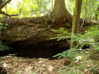 100_1785.webp