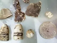Our Finds June16 From Buckles Site.webp