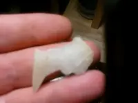 Aug 17 quartz flake.webp