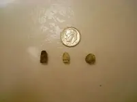 DSCN0173.webp