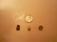 DSCN0174.webp