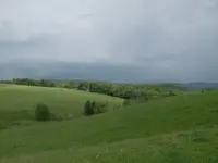 T uphill.webp