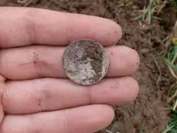 quarter hand.webp