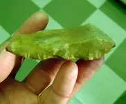 DSC00665-1.webp