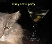 Sissy sez.webp