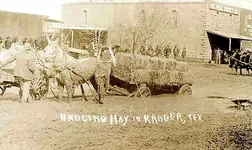 TXrangerhay2.webp