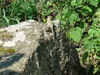 P1090269 - Copy.webp