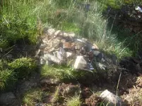 S7300842.webp