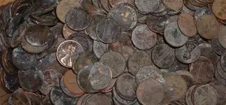 Picture.webp