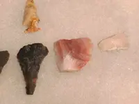 Set.webp
