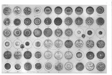 buttons.webp buttons.webp