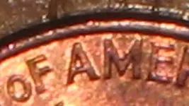1999 close up 1.webp