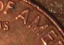 1999 close up 2.webp