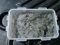 DSCF0570.webp