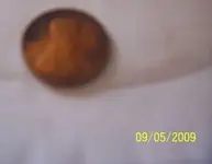 100_6449.webp