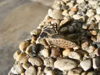 DSCF0146.webp