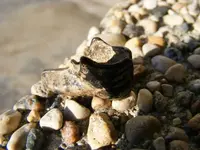 DSCF0145.webp