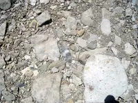 Knife insitu 7-18-09.webp
