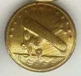 button airplane gold.webp