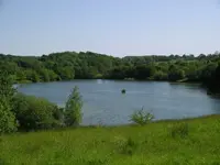 Lake 001.webp