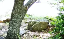 5-rock carving 1848.webp