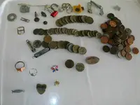 Todays Nut.webp