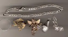 Junk Jewelry.webp