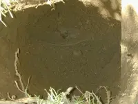 hole.webp