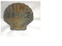 shell.webp
