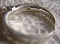 Schott School Ring Back 2-4-06.webp