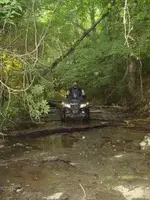 creek.webp