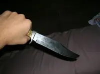 HuntingKnife (1).webp