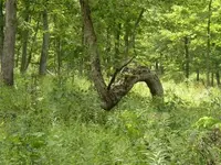 viewphoto.webp