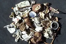 Trash7.webp