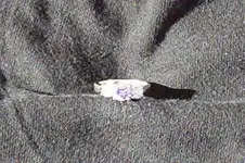 Ring Bling.webp
