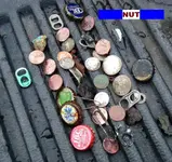 1203NUT2.webp