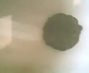 STEEL1943_cent001.webp