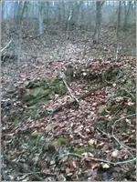 cellar_hole (Small).webp