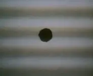 STEEL_on_TOP001.webp