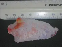 DSCN00400001.webp