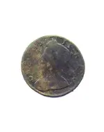 coin today.webp