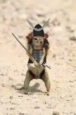 squirrel.webp